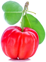 Image of a fresh red ripe Acerola Cherry
