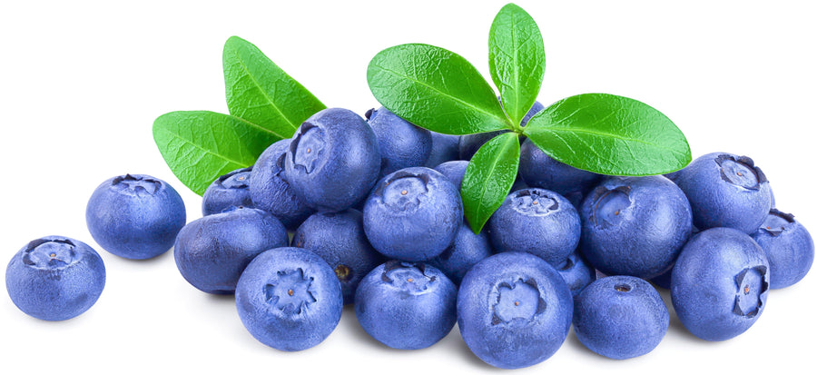 Image of multiple Blueberries on white background.