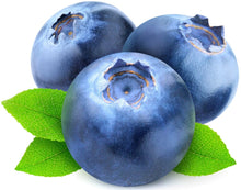 Closeup image of three Blueberries on white background