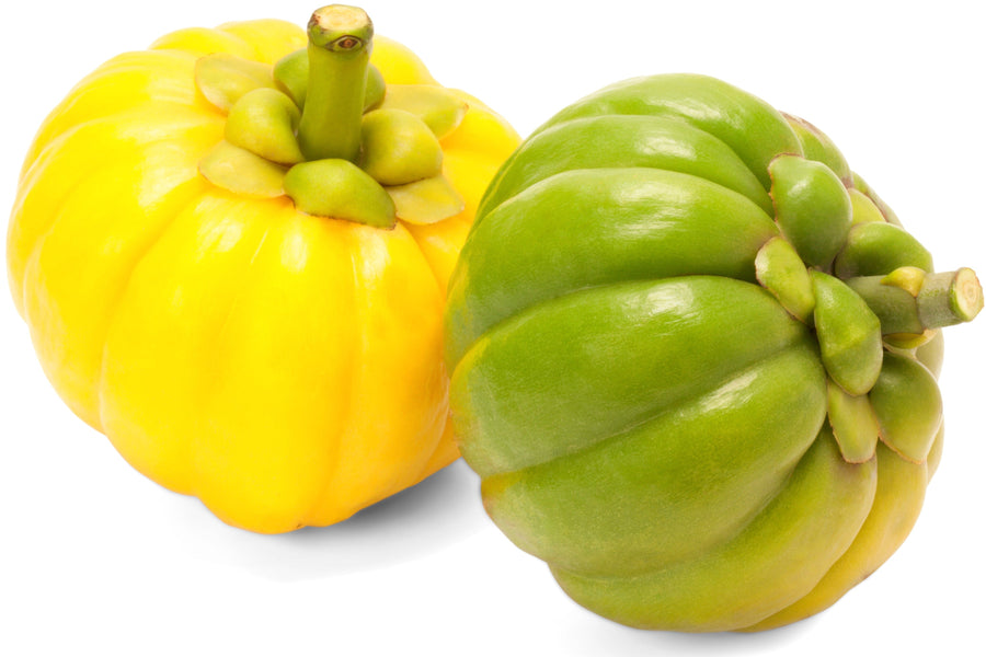 Image of a yellow and green Garcinia Cambogia fruit