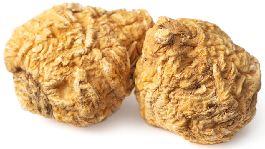 Image of two dried yellow Maca Roots on white background