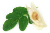 Image of small twig of moringa leaves with a moringa seed next to it.