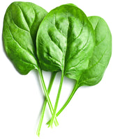 Spinach leaf's piled together on white background