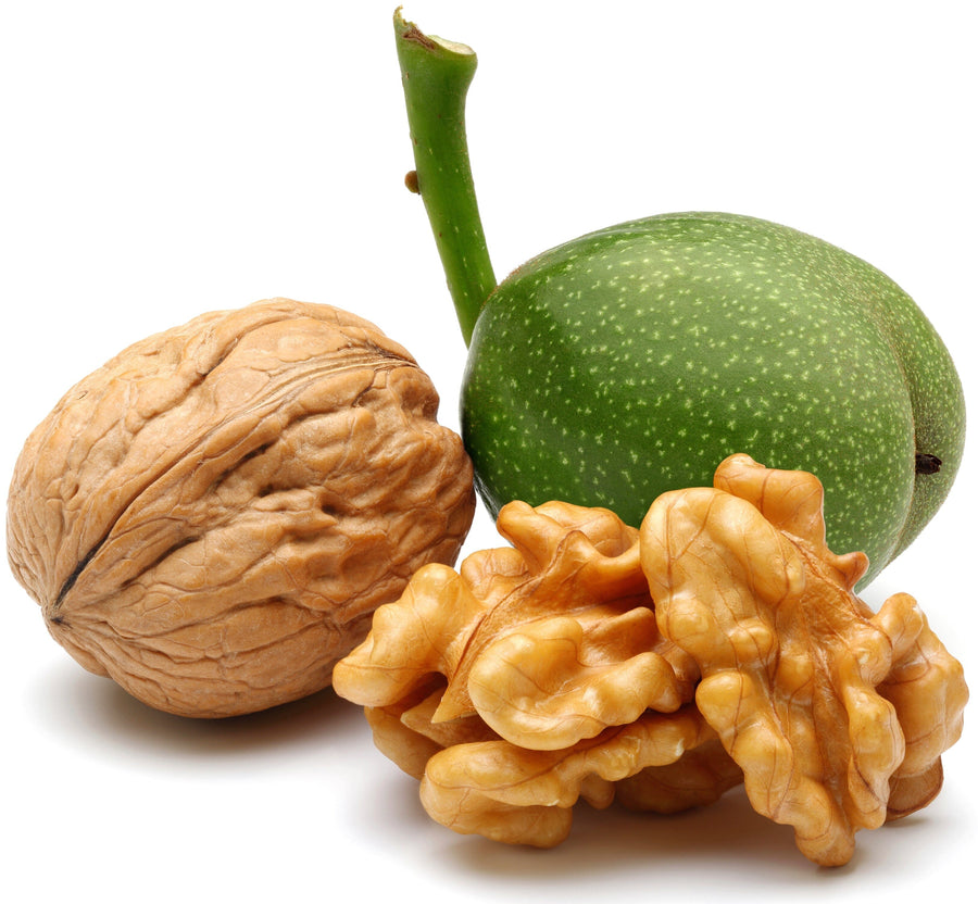 Image of Walnut halves with walnut kernel and unripe walnut fruit behind it.