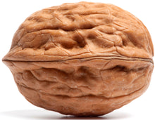 Closeup image of Walnut kernel on white background