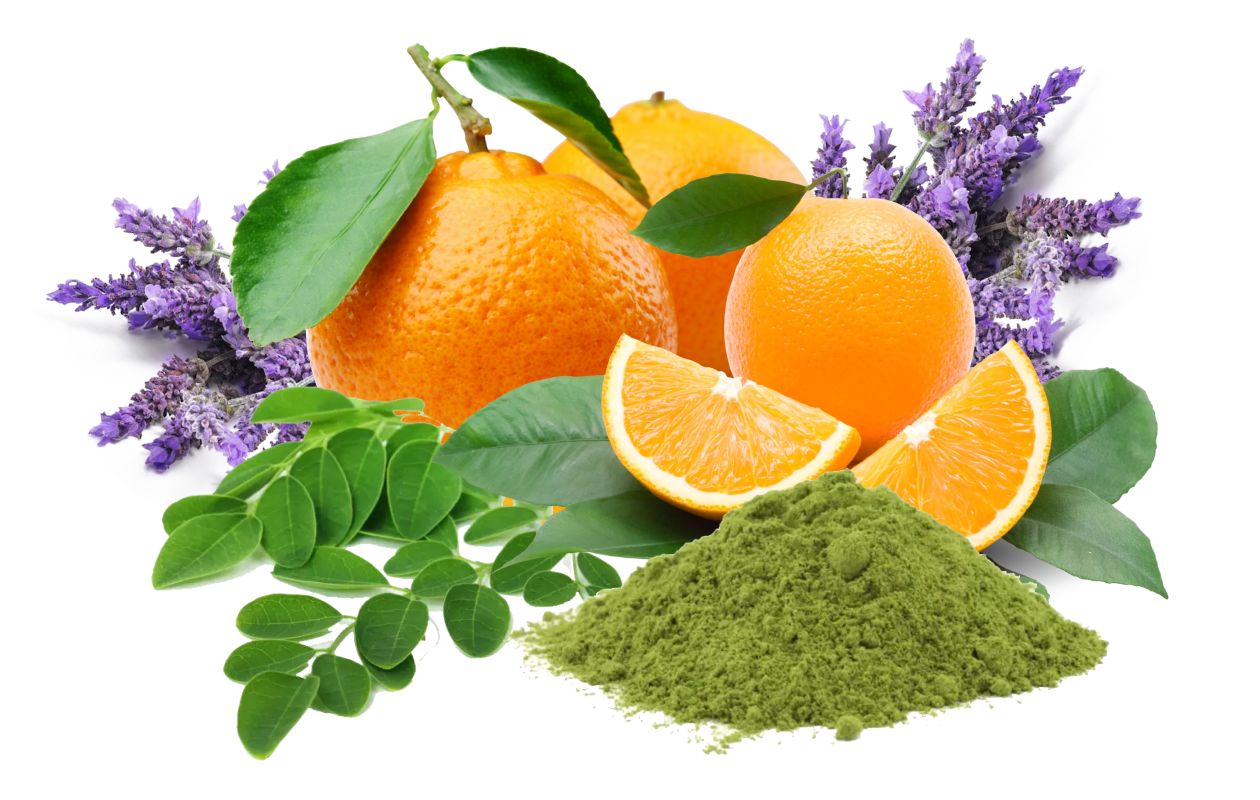 Image of moringa leaves and moringa leaf powder, oranges, and lavender