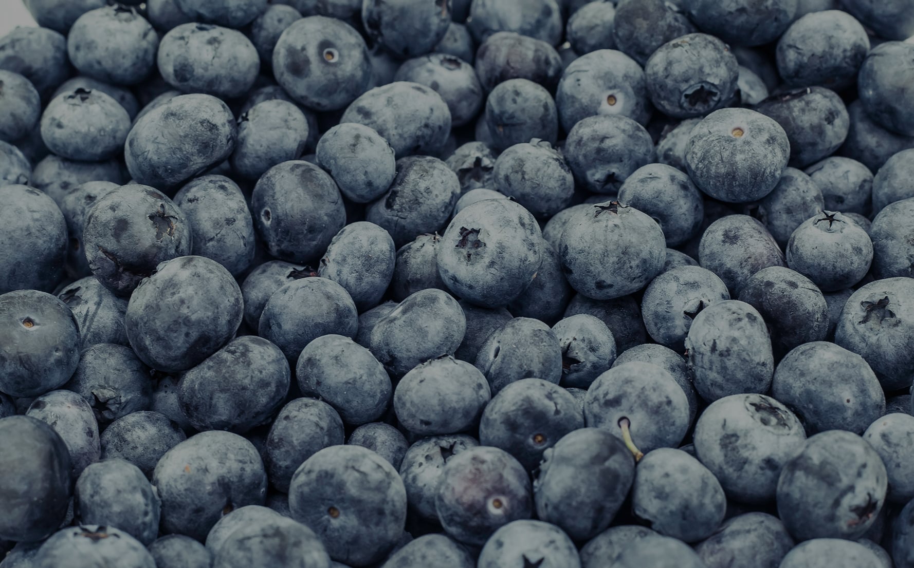 Quote Background
