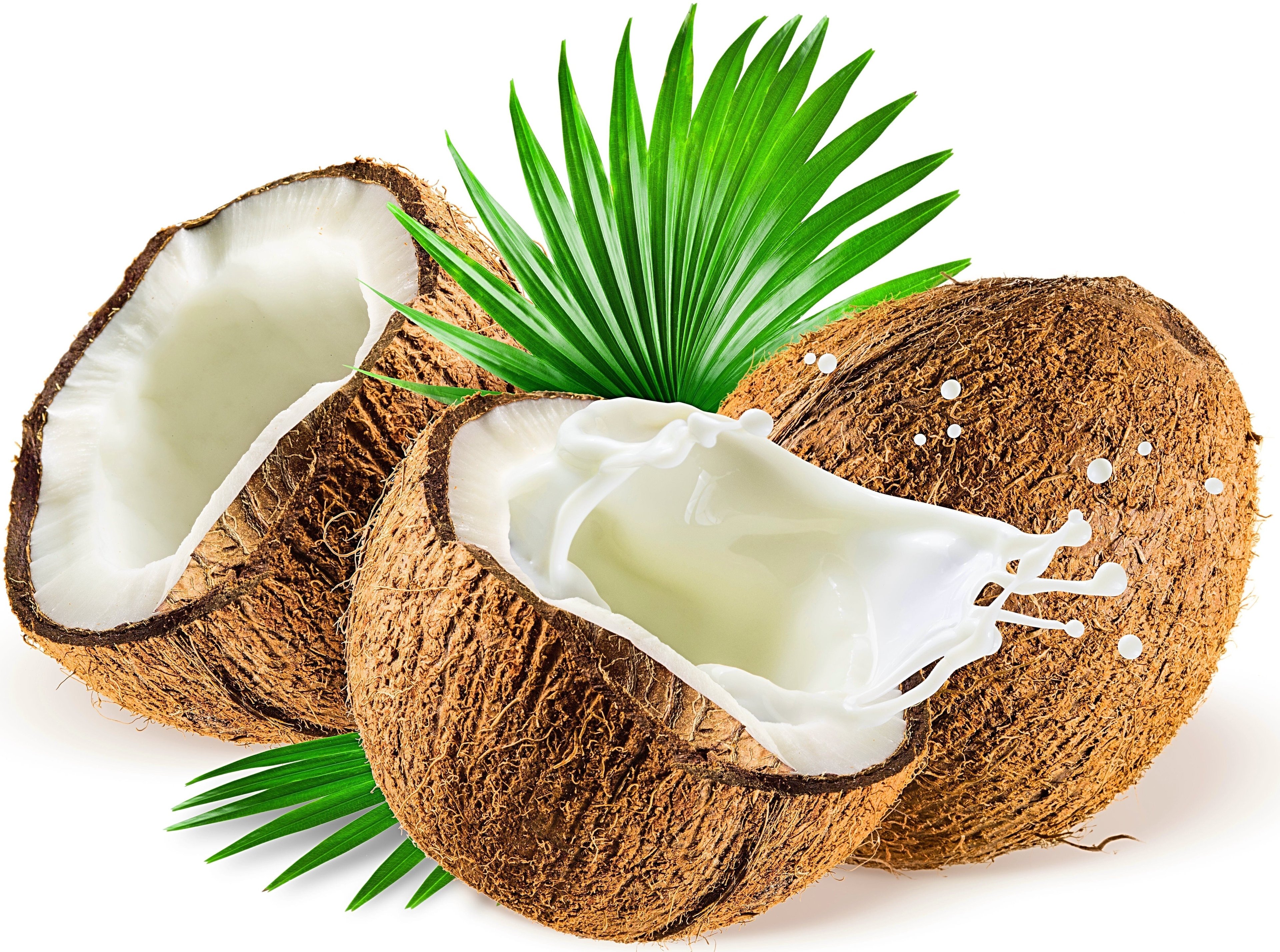 Image of whole and halved Coconuts, one halved coconut is splashing coconut milk from it.rs Z Natural Foods 33 lbs