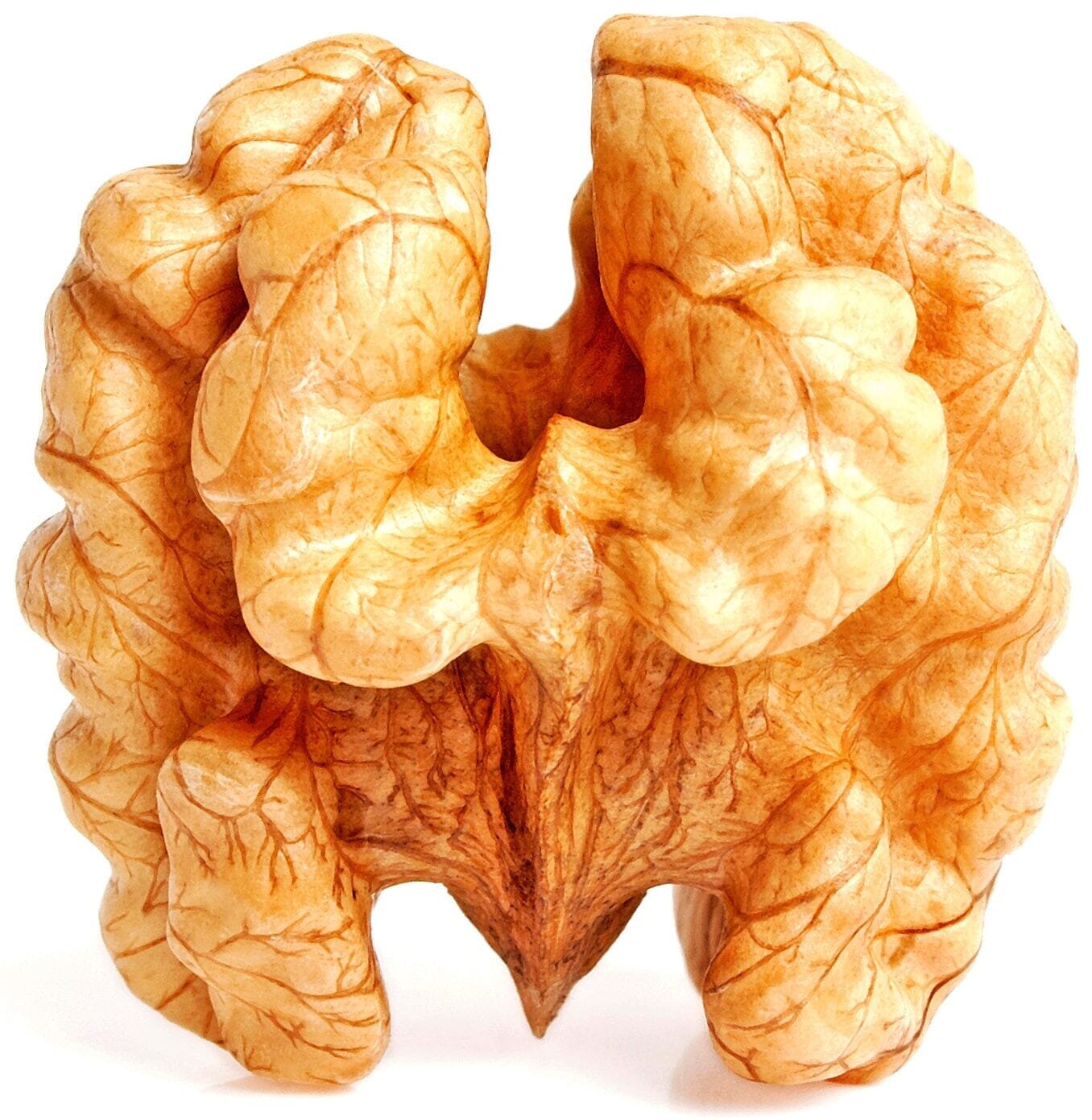 Closeup image of Walnut on white background