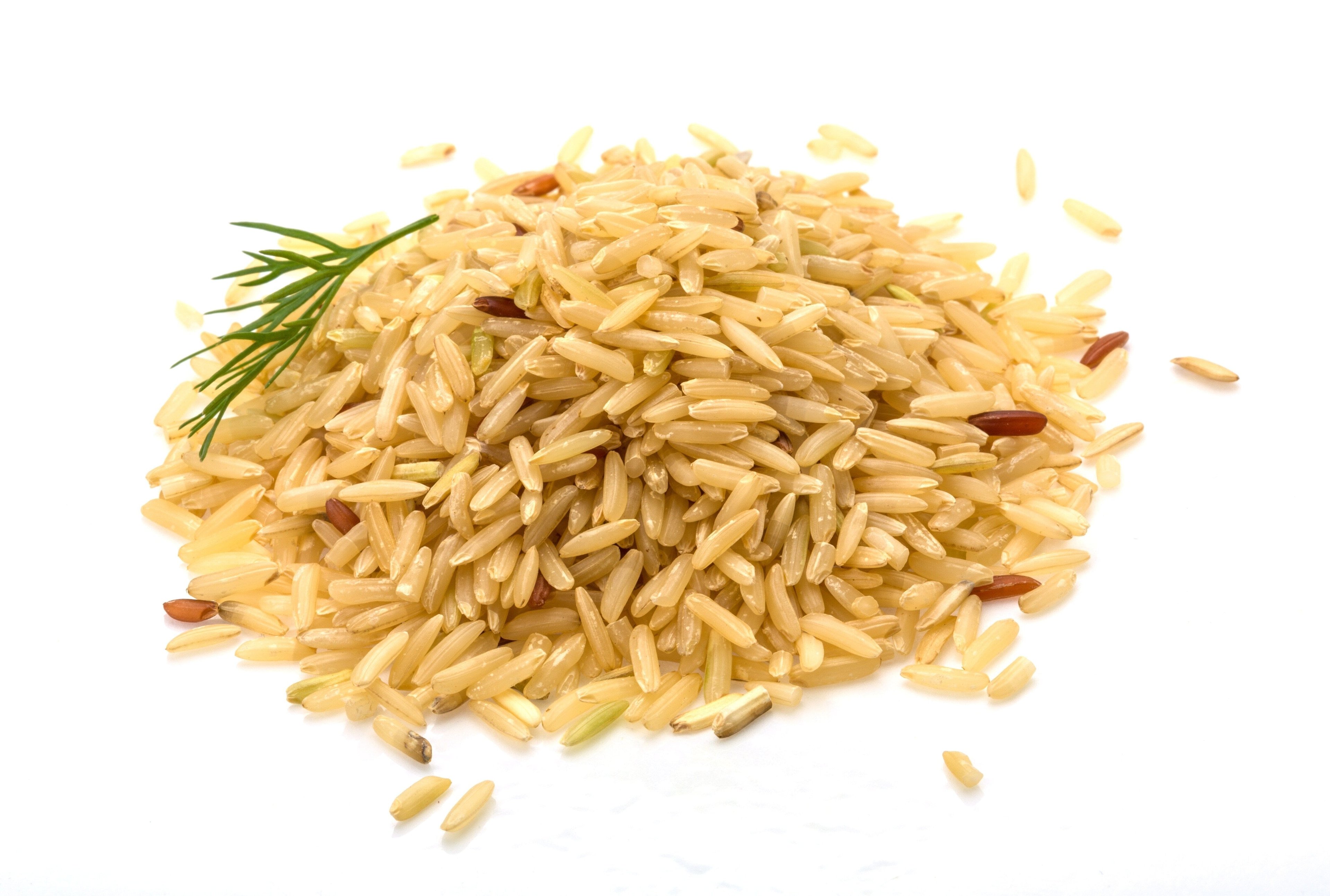 Brown Rice piled together on white background