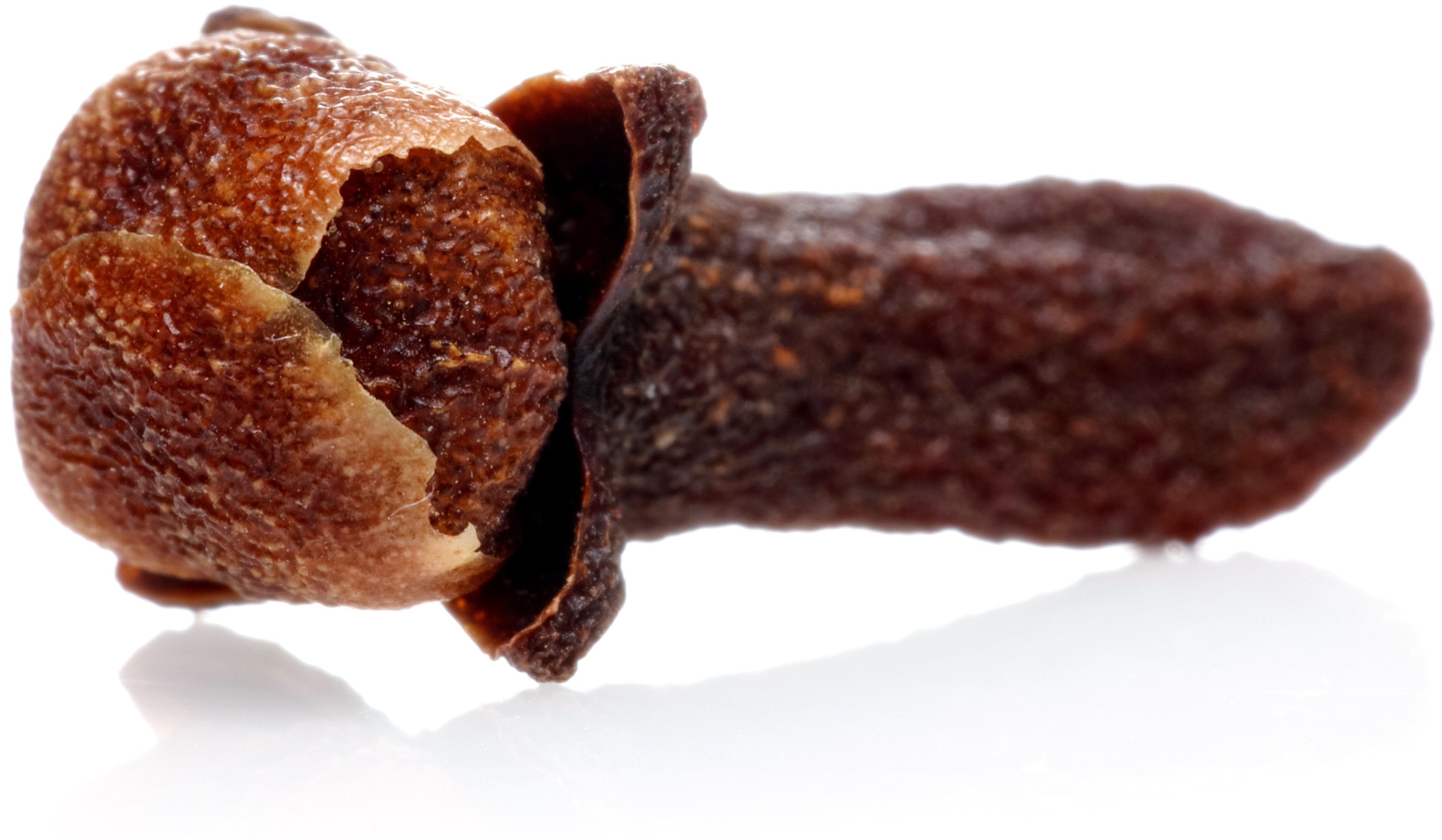 1 Clove on white background