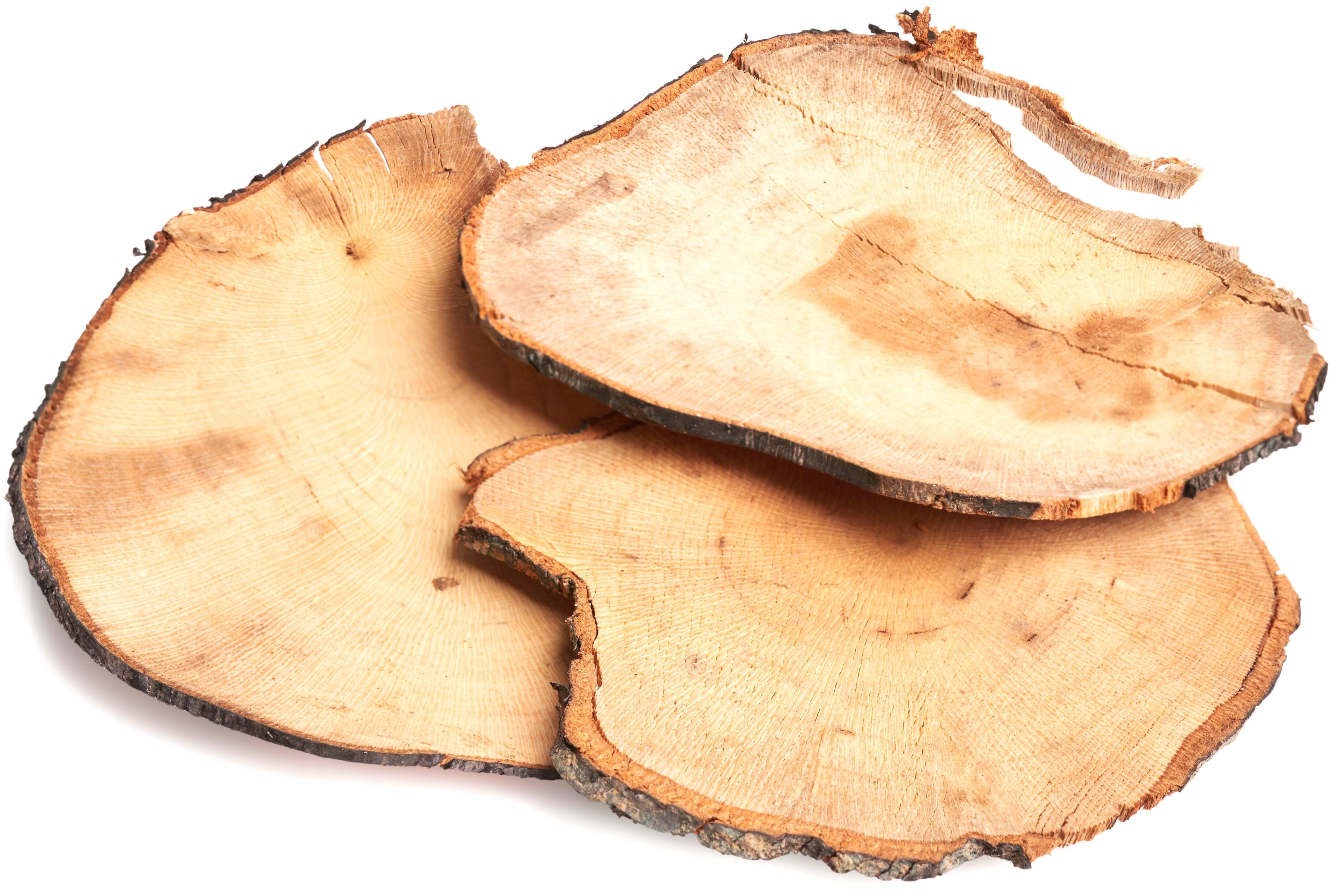 Tongkat Ali Root slice into 3 parts