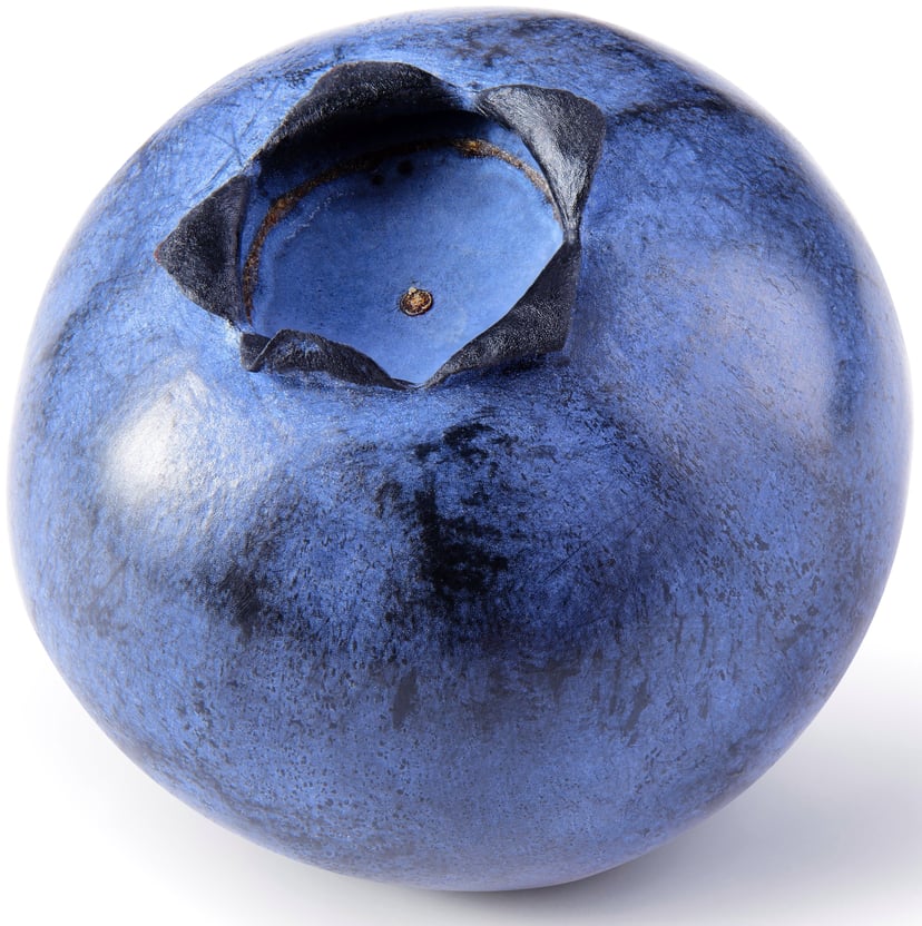 Closeup image of single Blueberry on white background.