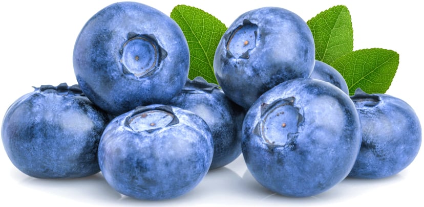 Closeup image of several Blueberries on white background