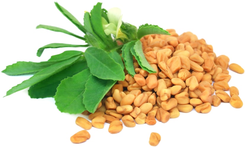 Image of multiple Fenugreek Seeds on white background