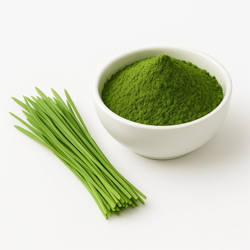 White bowl full of wheatgrass juice powder with fresh wheatgrass next to it
