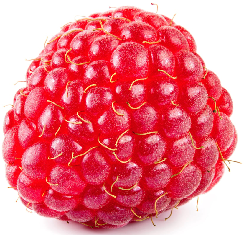 close up image of 1 Red Raspberry on white background