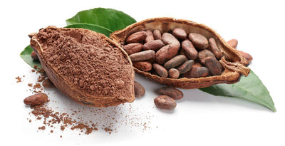 This is a picture of real cacao beans and cacao powder on a white background.