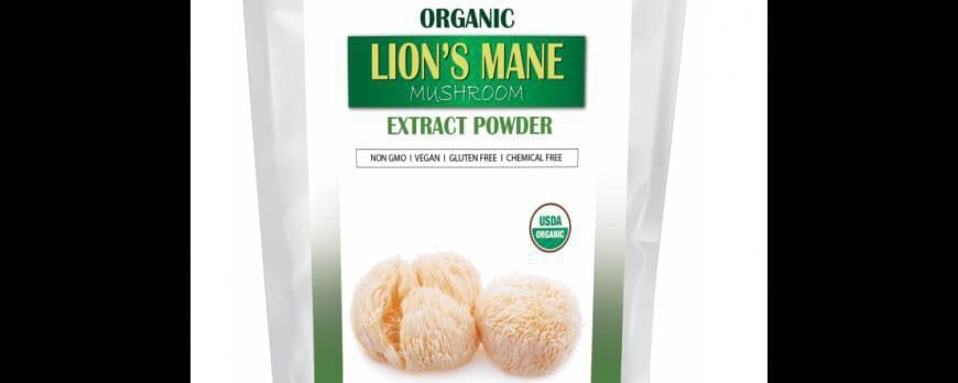 Z Natural Foods announces new Organic Lion’s Mane Mushroom Extract Powder