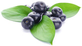 Image of multiple fresh acai berries and green leaves
