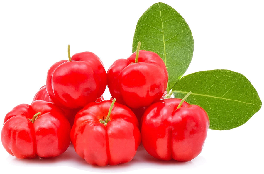 Acerola Cherry Powder - Organic Freeze Dried Fruit Powders Z Natural Foods 