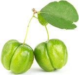 Closeup image of a pair of unripe Acerola Cherry on a stem with a single leaf on a white background.