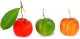 Image of three Acerola Cherries aligned in a row with varying shades of ripeness.
