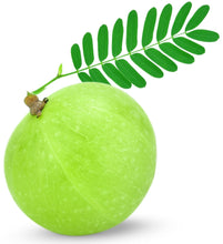 Image of a fresh green Amla fruit