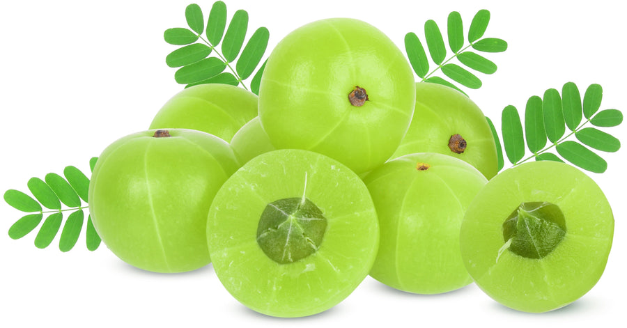 Image of multiple fresh green Amla fruits