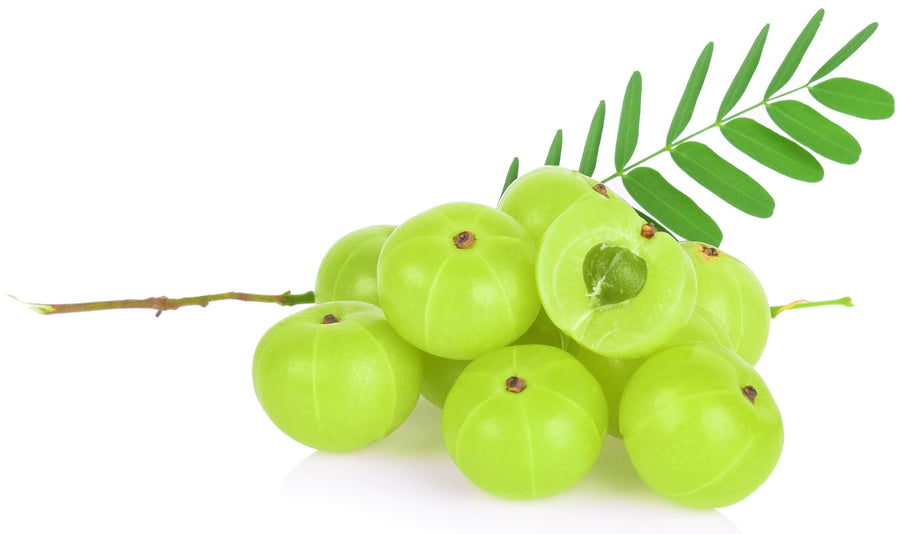 Image of multiple fresh green Amla fruits