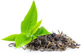 Assam Tea leaves in a pile with green leaf on side