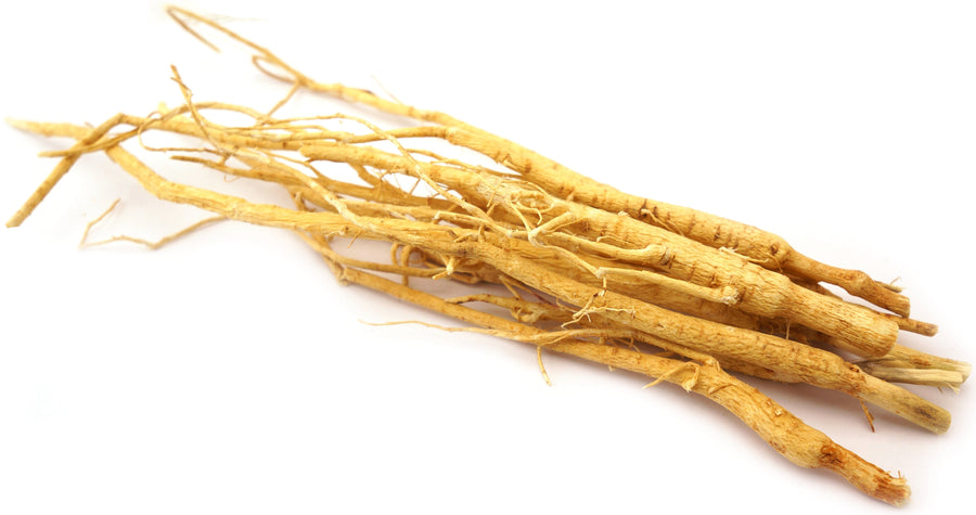 Image of Astragalus Root 
