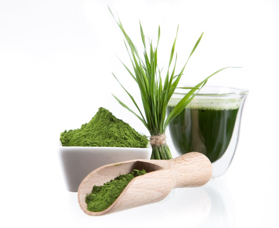 Image of Barley Grass Juice Powder in a wooden scoop and a white cup and fresh barley grass juice in a clear cup