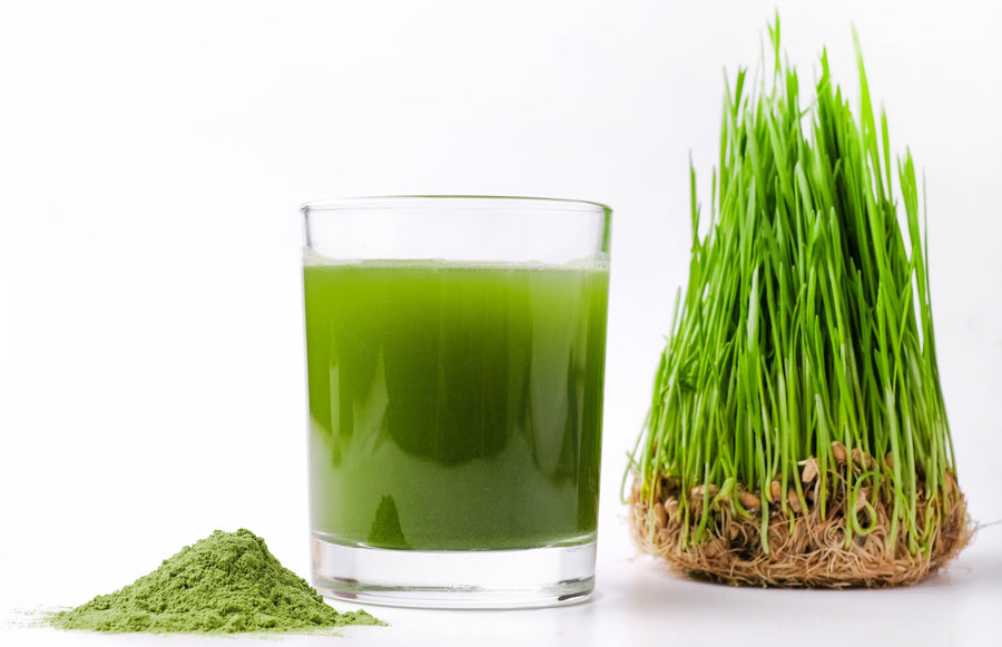 Barley Grass Powder in a pile with green juice in glass