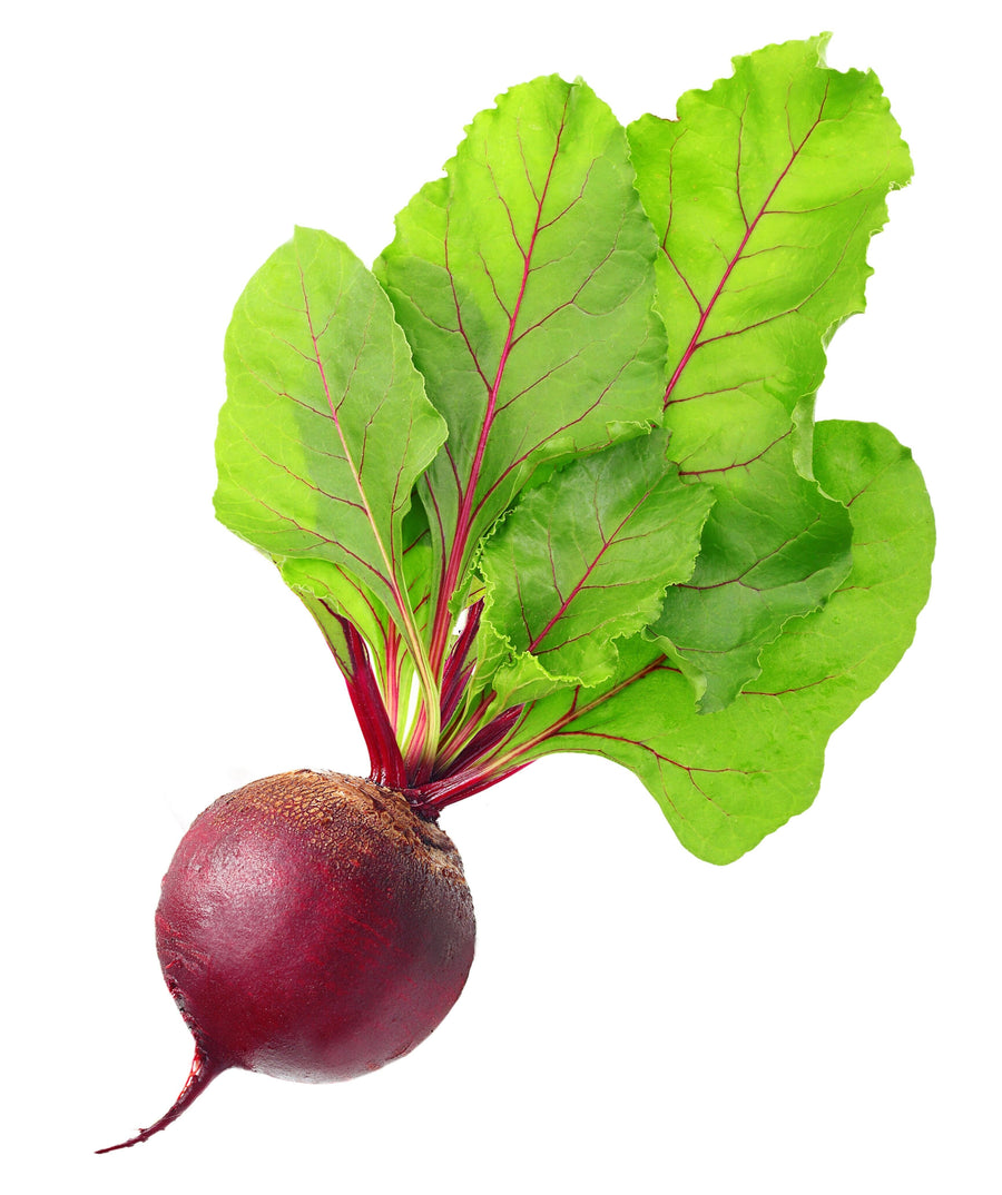 Image of a fresh red Beet Root