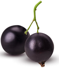 Image of 2 fresh raw Black Currants connected by short green stem
