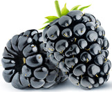 Close Image of 2 whole raw Blackberries 