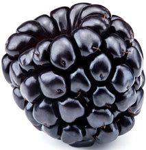 Image of a Blackberry