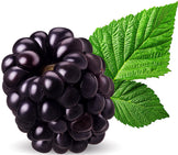 Image of blackberry and green leaf