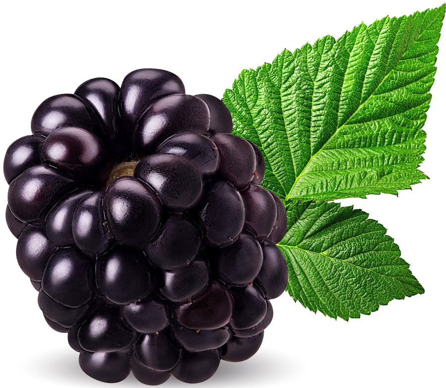 Image of blackberry and green leaf