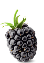 Close photo of single Fresh raw blackberry with short green stem