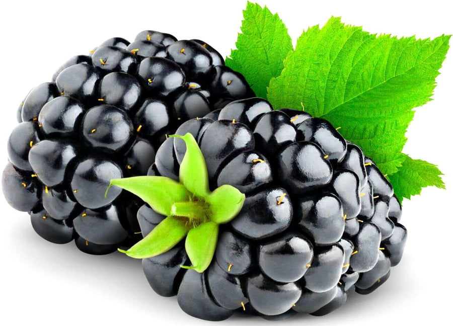Image of 2 blackberries and green leaves