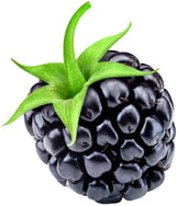 Image of blackberry with green stem on top
