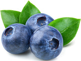 Closeup image of three Blueberries on white background