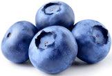 Closeup image of 4 Blueberries.