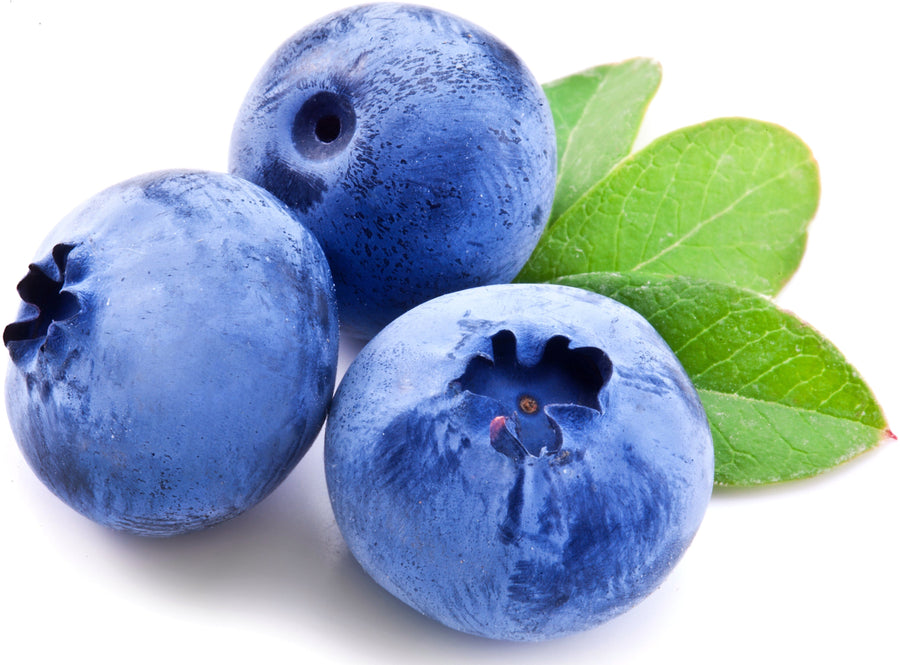 Image of 3 fresh Blueberries and green leaves