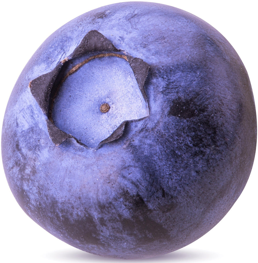 Image of a fresh Blueberry