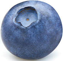 Image of a single fresh Blueberry