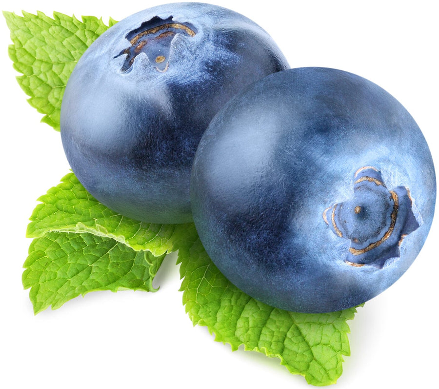 Image of 2 fresh Blueberries and green leaves