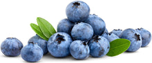 Image of Blueberries on white background